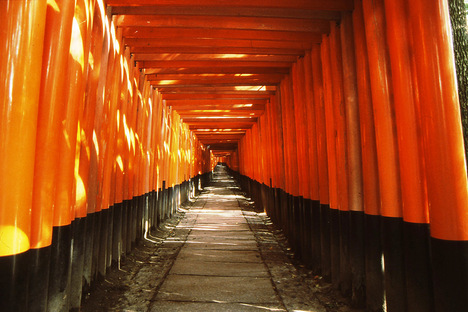 tour_07_t1.jpg