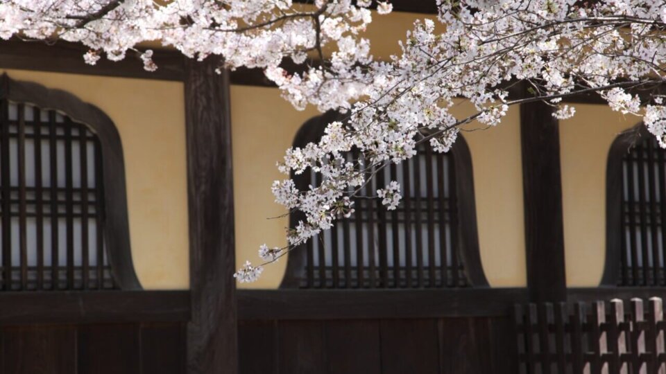 南禅寺と桜