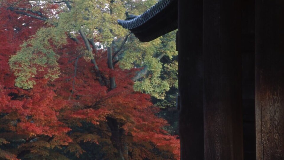 南禅寺三門と紅葉