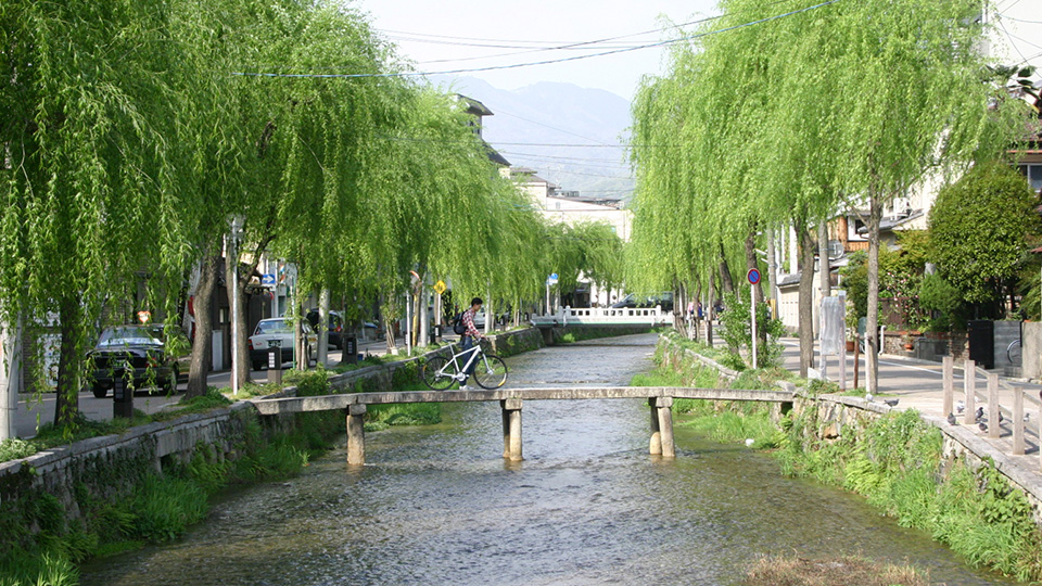 Shirakawa river in Kyoto