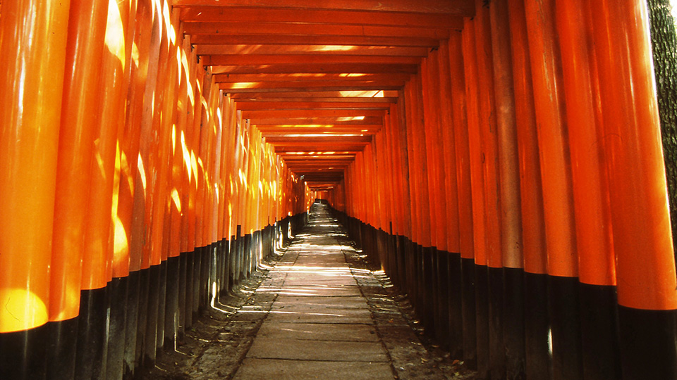 Fushimi-Inari Shrine 1